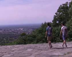 It is the perfect place for hiking and bike lovers. You can either hike to the summit of Mount Royal or you can go there on a bike. Though buses are a